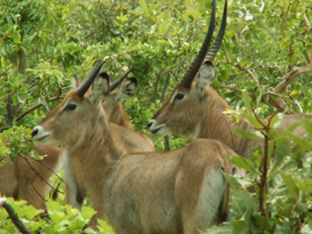Burkina Faso Excursions